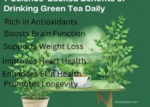 7 Science-Backed Benefits of Drinking Green Tea Daily