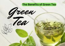 The Benefits of Green Tea Why It’s a Superfood for Your Health